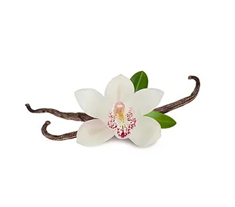 Natural Vanillin
