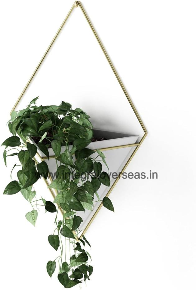 Metal Hanging Planter