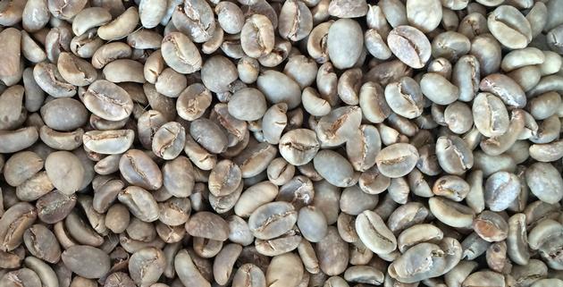 Toraja Arabica Coffee