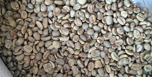 Toraja Arabica Coffee