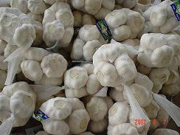 Normal white garlic-small packing