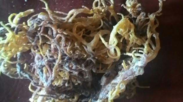 Dried Eucheuma Cottonii Seaweed