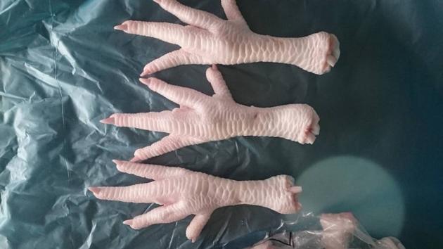 Frozen Chicken Feet And Paws