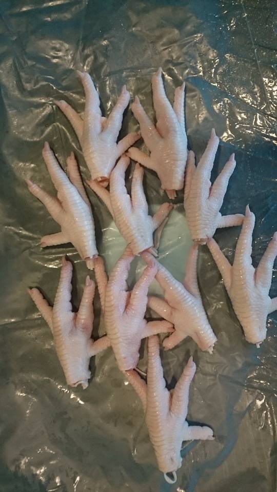 Frozen Chicken Feet and Paws