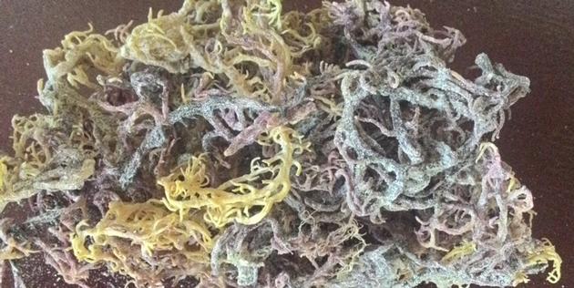 Dried Eucheuma Cottonii Seaweed