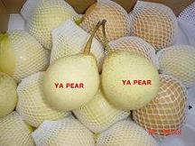 Ya pear