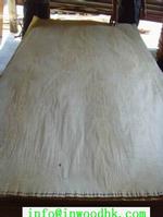 chinese birch rotary cut 