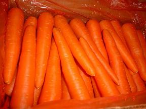 fresh carrot