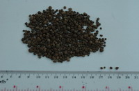 indoguano Guano Phosphate