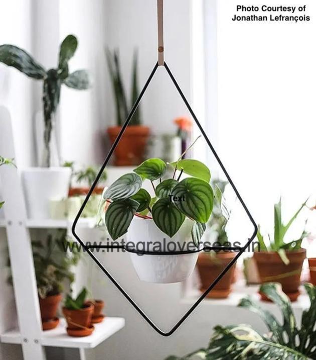 Metal Hanging Planter