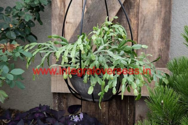 Metal Hanging Planter