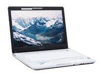 Sony VAIO VGN-FE770G Notebook (15.4