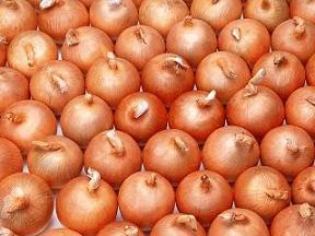 onions