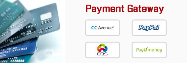 Payment Integration