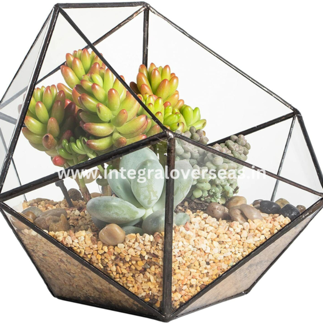 metal terrarium