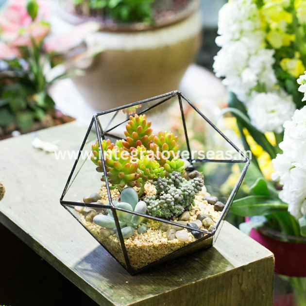 Metal Terrarium