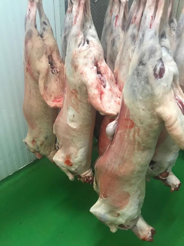 Halal Karakul Lamb