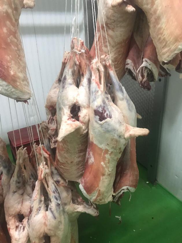 Halal Frozen Sheep Meat