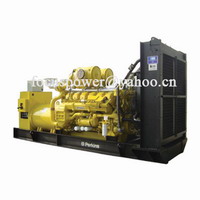 Perkins Diesel Generator