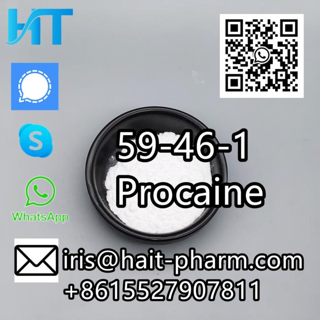 China Supplier Sell 99.9% Purity Powder Form CAS 59-46-1 Procaine