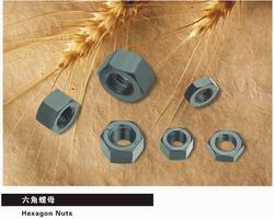 Hex Nuts