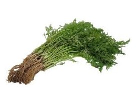 Apigenin 98%