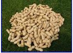 Luteolin 98%.