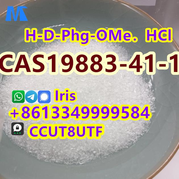 Factory Supply High Purity H-D-PHG-OME HCL Powder Cas 19883-41-1