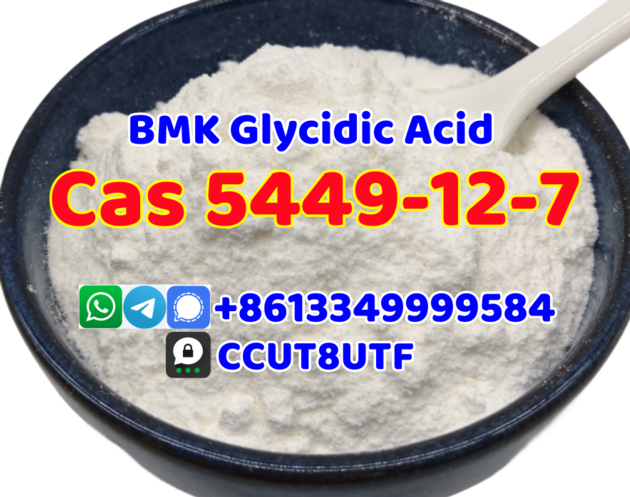 New BMK Glycidic Acid (sodium salt) CAS 5449-12-7
