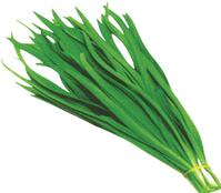 Frozen leek