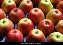 Apple extract