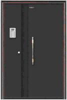 Shiwei Door