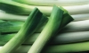 Frozen Scallion