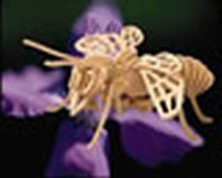 3D Wooden Puzzle E030 Honeybee