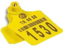 Plastic Ear Tag