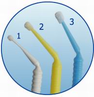 Dental Brush
