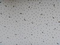 ceiling insulation