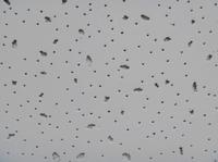 mineral fiber ceiling board