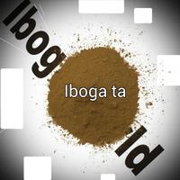 Iboga TA