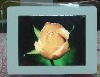 12.1'' digital photo frame