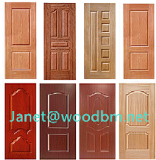 Door Skin