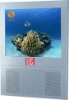 17'' LCD advertising player(
