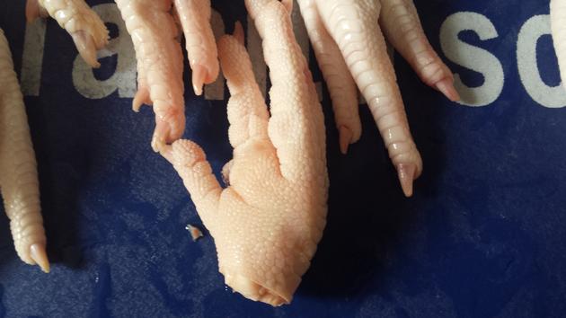 CHICKEN FEET