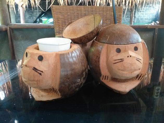 Coconut Handycraft