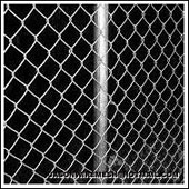 Chain Link Fence (Diamond Wire Mesh)
