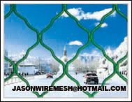 Guarding Mesh