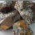 Ferro Titanium