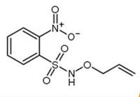 N-(Allyloxy)-2-nitrobenzenesulfonamide