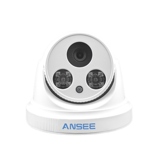 IR Dome IP Camera for office and shop