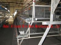 Chicken Layer Cage